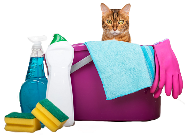 čisticí prostředky po kočkách 