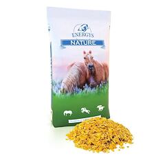 ENERGYS - Cornflakes - Kukuřičné vločky