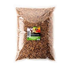Moučný červ je larva potemníka moučného