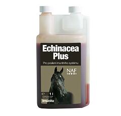 Echinacea Plus s přírodním vitamínem C a dalšími vitamíny poskytuje každodenní podporu imunitního systému
