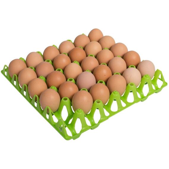 Odolné, stohovatelné a omyvatelné plastové plato na  30 ks slepičích vajec