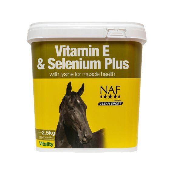Vitamín E a selen pro správnou svalovou funkci koní