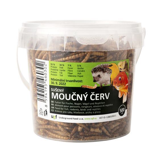 Moučný červ je larva potemníka moučného
