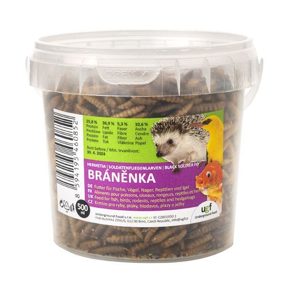 Bráněnka je sušenou larvou mouchy bráněnky