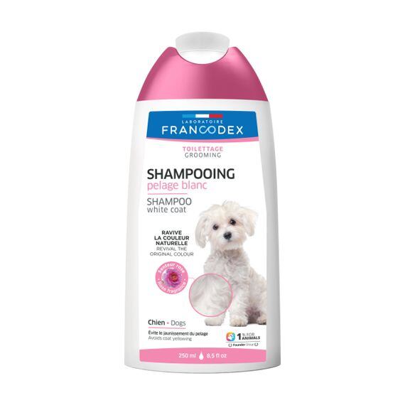 Šampon na bílou srst přímo ovlivňuje pigmentaci srsti vašeho domácího mazlíčka