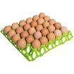 Stohovatelné plastové plato na 30 ks vajec - zelené