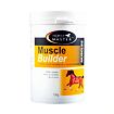 HORSE MASTER - Muscle Builder