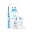 DOPRODEJ - BRIT Care - Grain Free Junior Large Breed - Salmon & Potato