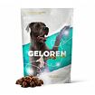 GELOREN Dog L / XL - Kloubní výživa pro velká plemena psů
