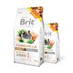 BRIT Animals - Chinchila Complete