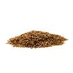 Moučný červ je larva potemníka moučného