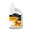 HORSE MASTER - Muscle Plus