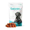 GELOREN Dog L / XL - Kloubní výživa pro velká plemena psů