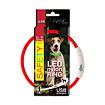 DOG FANTASY - LED Svítící obojek nylonový - S / M