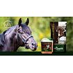 St. Hippolyt - WES Gastro Beet a St. Hippolyt WES Energy Boost