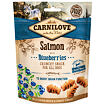 CARNILOVE Dog - Crunchy snack - Losos s borůvkami