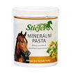 STIEFEL - Minerální pasta